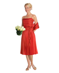 Short Dress 3720
